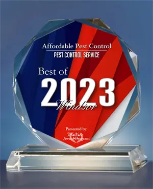 2023 Best of Windsor Award